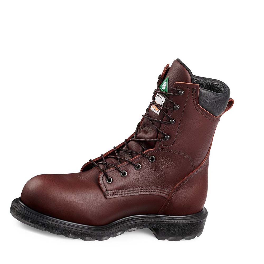 Red Wing SuperSole® 2.0 8-inch CSA Men's Safety Boots Burgundy | ZA 284GSO